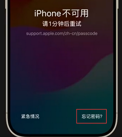忠县苹果手机密码维修分享iPhone忘记了刚设置的密码 